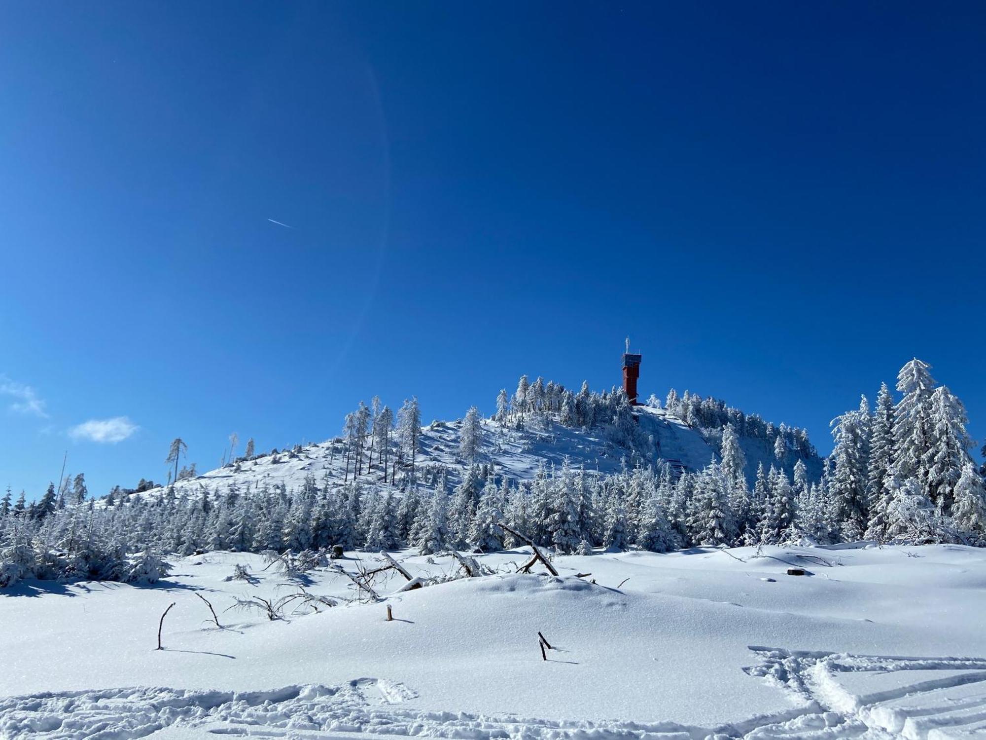 Bergtraum Im Harz, 17 Gaeste, Sauna, Pool * Braunlage